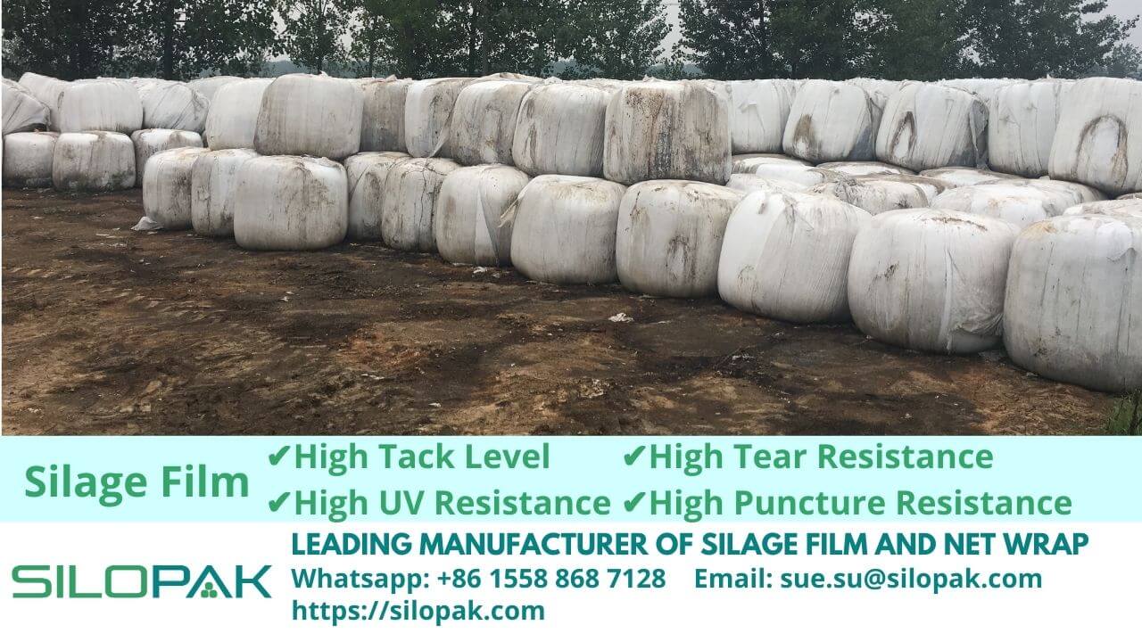Silage Plastic Film wholesaler manufacturer in China USA canada Italy Mexico chile brazil germany australia new zealand