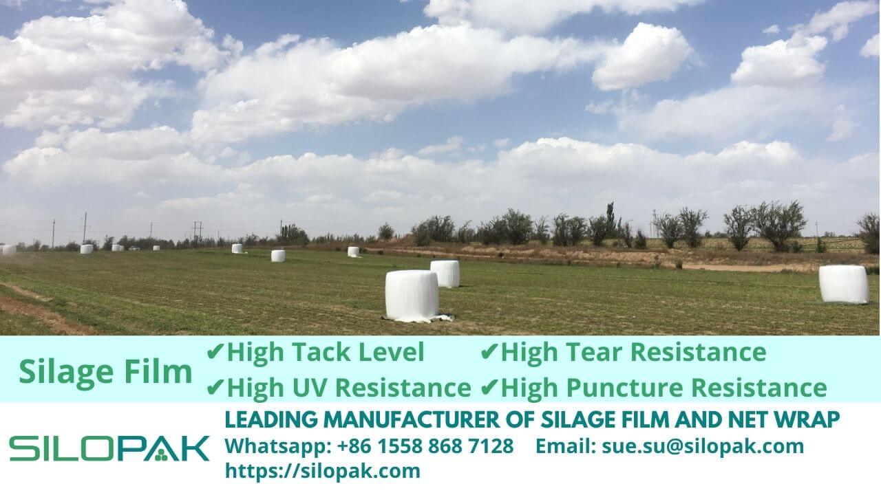 Grass Silage Film manufacturer supplier in China, Mexico, Chile, Australia, Europe, Canada