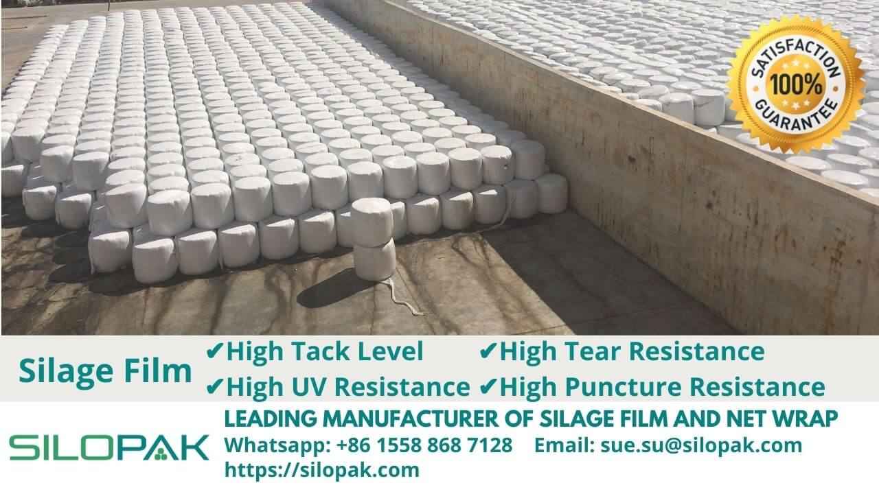 Silage Stretch Wrap Film manufacturer hay fodder cow cattle feed