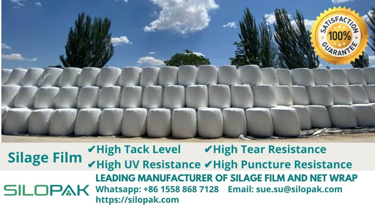 Silage Bale Wrapping Film Australia New Zealand Sheep Cattle Cow Grass Hay Feed