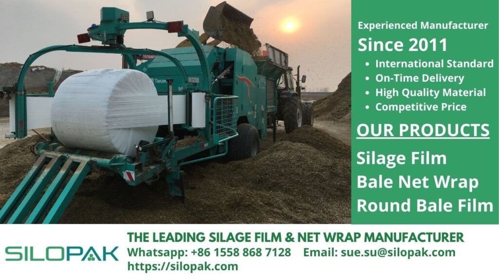 Is Lucerne Good for Cows, lucerne silage feed