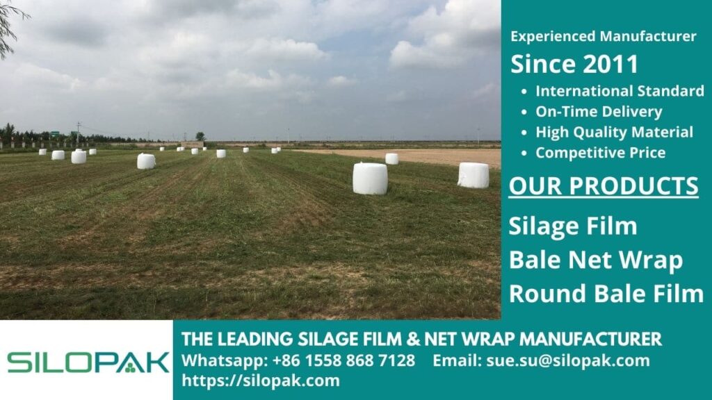 what is silage, silage benefits