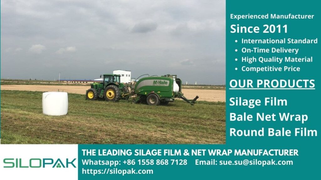 What is Silage and the Best Silage Film for Highly Nutritious Feed