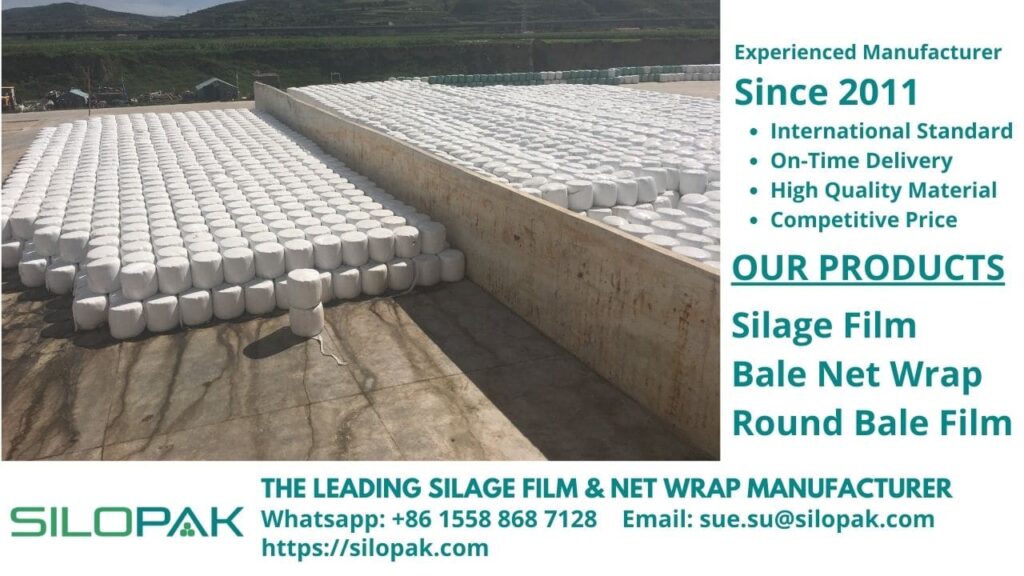 Varieties of Green Fodder forage livestock feed wrap