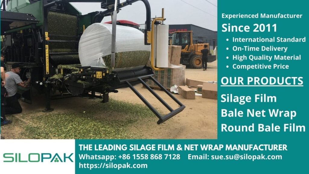 animal feed grass silage bales