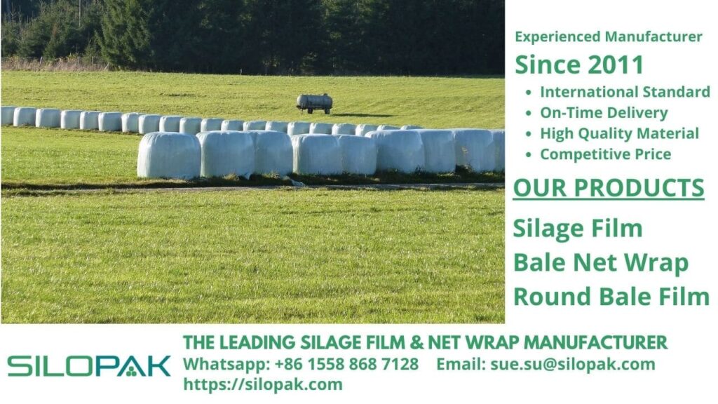 Cattle Feed, Forage Crops, Straw, Whole Crop Cereals