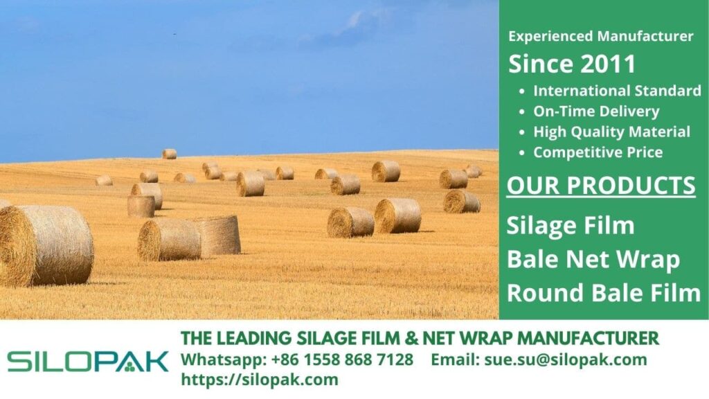 Grass Silage for Beef Cattle