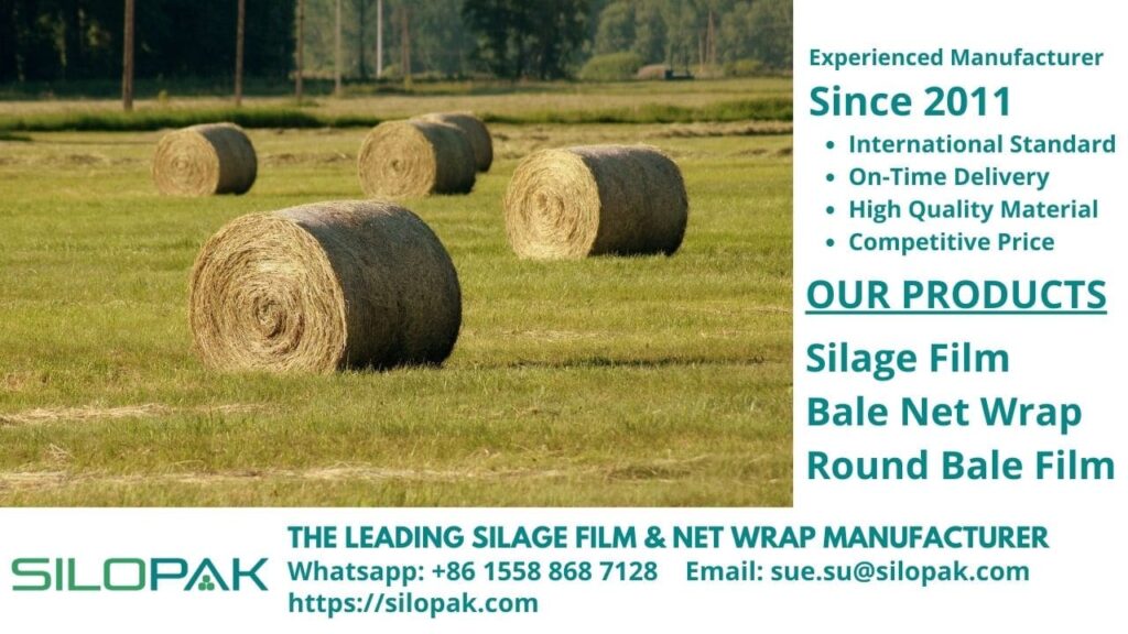 Is It True That Hay and Haylage are Different Animal Feed?