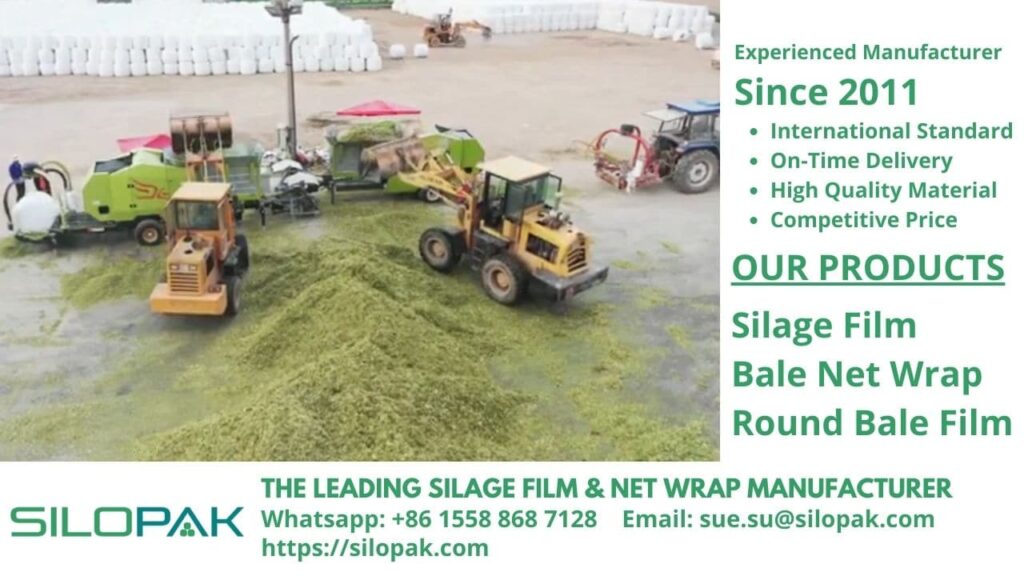 livestock farming, fermented grass feed silage