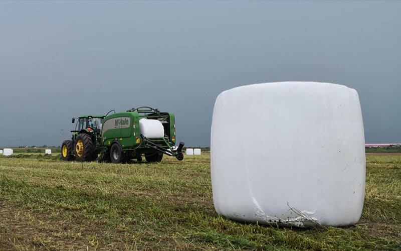 lldpe silage film supplier from China
