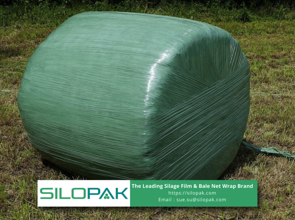 what is silage
