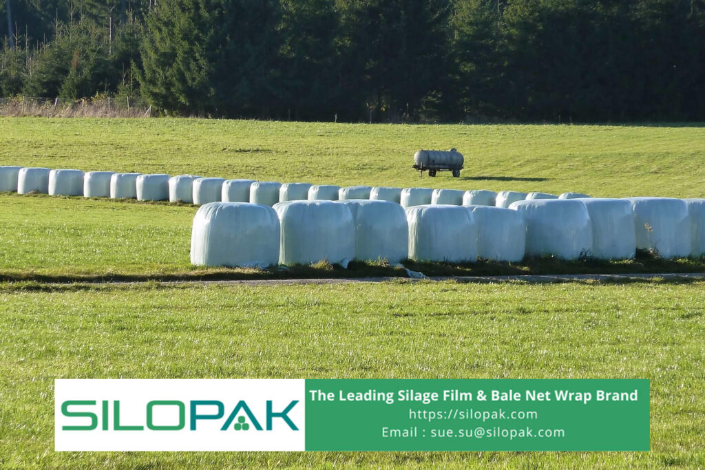 Determine pH in Silage, Keep the Quality Good