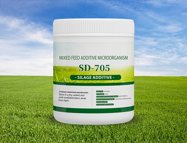 silage additive mixed feed microorganism