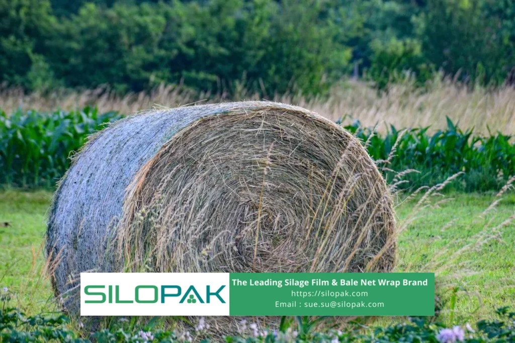 750mm Bale Wrap A Reliable Protector for Larger Feed Bales