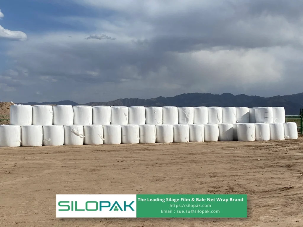 Silage Spoilage Prevention in a Changing Climate