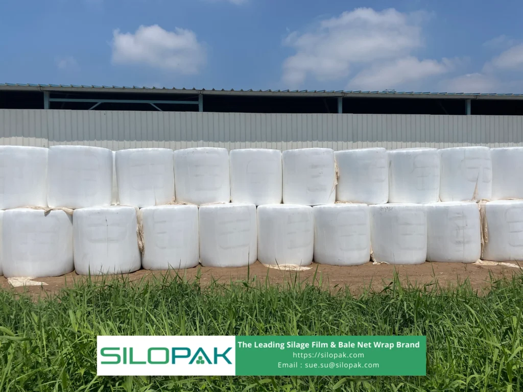 Silopak Multilayer Silage Film for Superior Feed Protection